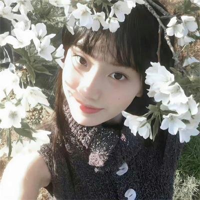 春满兰宫